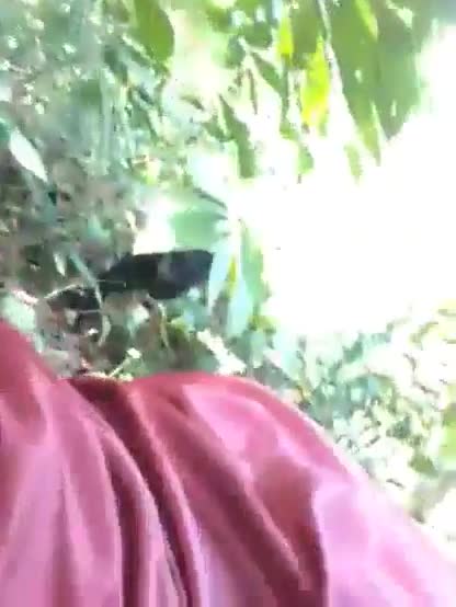 Desi indian girl fucking in the forest